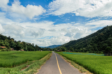 Fototapeta na wymiar Country road or mountain middle road, Beautiful blue sky and cloud with green tree.