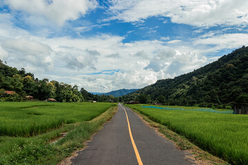 Country road or mountain middle road, Beautiful blue sky and cloud with green tree.