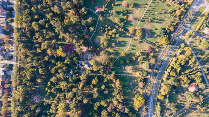 Top view aerial photo from flying drone of a city park with walking path and green zone trees in evening time. Urban park with meadow, trees and paths.	