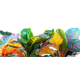 Colorful tropical jungle plants and leaves frame border for text and design with copy space, multicolor foliage .isolated on a transparent background. PNG cutout or clipping path.