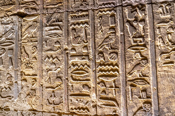 Detail of Egyptian inscriptions and paintings on Egyptian temples, ceilings and walls