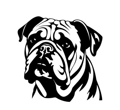 Vector isolated one single sitting Bulldog English American dog head front view black and white bw two colors silhouette. Template for laser engraving or stencil, print for t shirt	