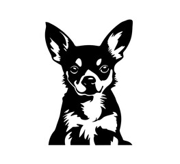 Vector isolated one single sitting Chihuahua Toy terrier dog head front view black and white bw two colors silhouette. Template for laser engraving or stencil, print for t shirt	
