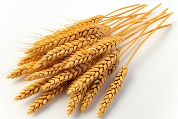 Isolated wheat on a pristine white background, emphasizing purity