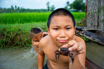 The Asian boys who are older brother and younger brother, the children of a farmer in the rural area, were playing in the canal of rice field and excitedly encountered a crab.