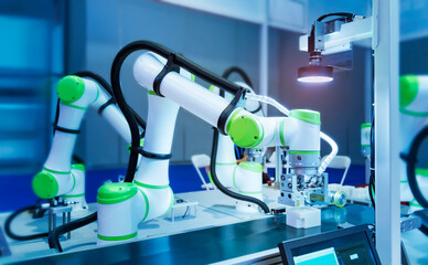 automatic vision sensor camera system in intellegence factory