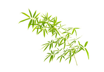 Obraz na płótnie Canvas Bamboo leaves isolated on white background
