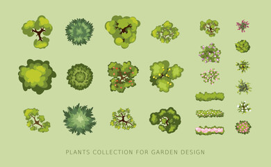 Plants collection for garden design. Set of vector illustrations of trees and bushes, graphic elements for landscape design or plot plan.