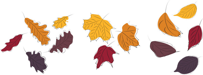 Line art with color. Autumn leaves. High quality vector illustration.