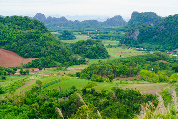 Fototapeta na wymiar An aerial view of a hill that has been cleared for agriculture in Loei Province, Thailand.