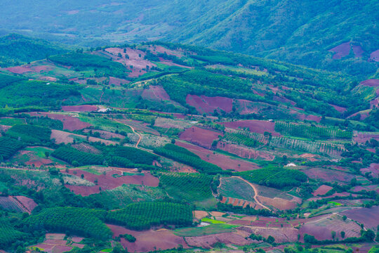 An aerial view of a hillside area that has been transformed into agricultural land  in Loei Province, Thailand.