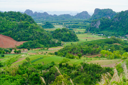 An aerial view of a hill that has been cleared for agriculture in Loei Province, Thailand.