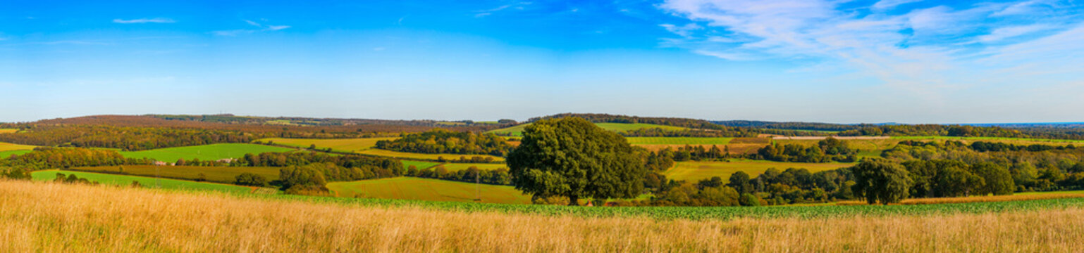 View of English countryside seen from Halnaker Hill in Sussex, UK