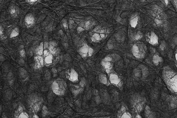 Dense matted hair closeup halloween backdrop in black and white