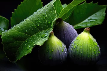  Ripe appetizing figs with green leaves © Veniamin Kraskov