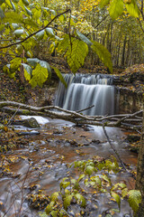 A shallow river with a waterfall flows into the canyon ravine. Water falls over two sandstone cascades. Yellow autumn leaves on land and in water. The third largest in Latvia - Dauda waterfall