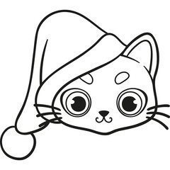 Santa hat