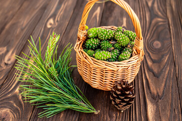 Gathered green pine cones, a natural remedy in the making