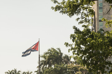 Bandera cubana ondeando rodeada de árboles