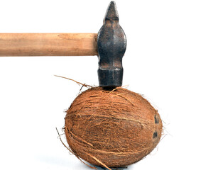 Whole coconut and hammer on white background