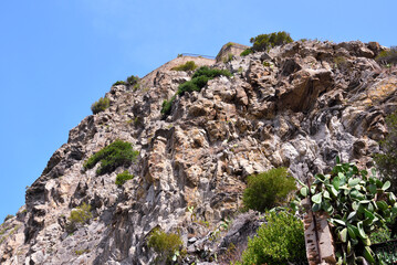 hilly view with prickly pears from Scilla Calabria Italy - obrazy, fototapety, plakaty