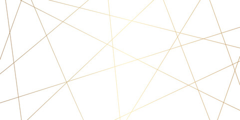 Luxury premium golden random chaotic wave lines abstract background. Vector, illustration	
