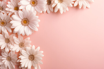 white daisies frame close up on a pastel pink background. floral background	