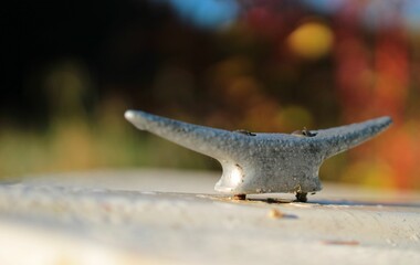 Aluminiowa knaga pokryta rosą poranną © Grzegorz