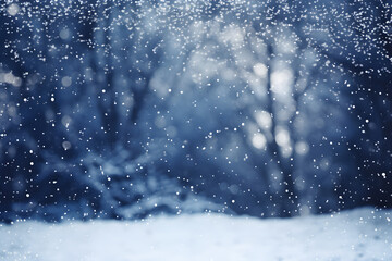 Obraz premium Winter forest with snow and falling snowflakes. Christmas background.