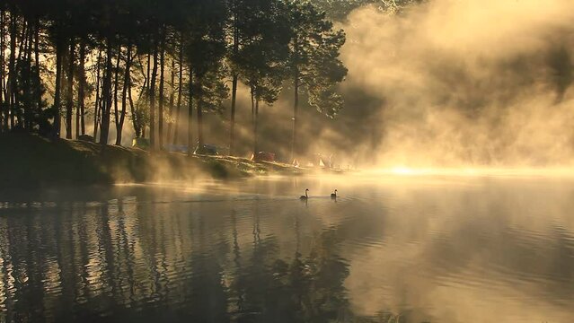 Early morning breath of Pang Oung or Pang Tong Royal Project in Mae Hong Son, Thailand 