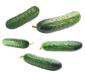 Set of green cucumbers isolated on white