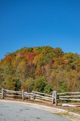 Fototapeta premium autumn river