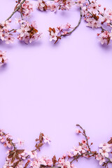 Frame made of blooming branches on lilac background
