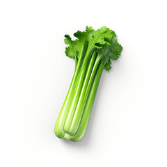 3d icon of celery  on the white background.