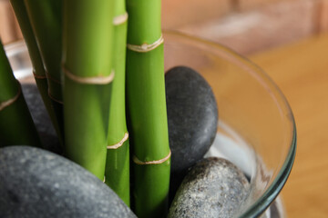 Obraz na płótnie Canvas Vase with bamboo stems and stones, closeup