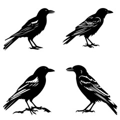 eagle svg, eagle png, eagle silhouette, eagle illustration, bird, animal, eagle, black, vector, illustration, nature, wildlife, silhouette, wings, feather, wild, raven, flying, wing, white, fly, crow,