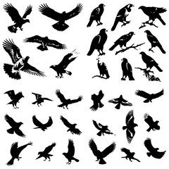 eagle svg, eagle png, eagle silhouette, eagle illustration, bird, animal, eagle, black, vector, illustration, nature, wildlife, silhouette, wings, feather, wild, raven, flying, wing, white, fly, crow,