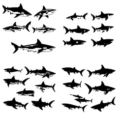 Shark silhouette, shark png, shark illustration, shark svg, silhouette, fish, vector, bird, animal, sea, illustration, nature, shark, flying, silhouettes, black, fly, icon, wildlife, pattern, birds, o