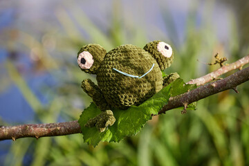 Knitted frog toy in the garden on a tree