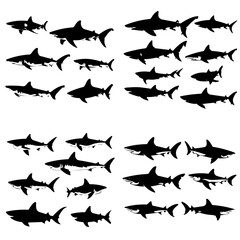 Shark silhouette, shark png, shark illustration, shark svg, silhouette, fish, vector, bird, animal, sea, illustration, nature, shark, flying, silhouettes, black, fly, icon, wildlife, pattern, birds, o