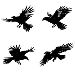 Crow silhouette, crow vector, crow illustration, crow png, crow svg, bird, silhouette, vector, animal, birds, illustration, nature, flying, wing, branch, wildlife, bullfinch, sparrow, tree, beak, crow