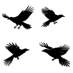 Crow silhouette, crow vector, crow illustration, crow png, crow svg, bird, silhouette, vector, animal, birds, illustration, nature, flying, wing, branch, wildlife, bullfinch, sparrow, tree, beak, crow - obrazy, fototapety, plakaty