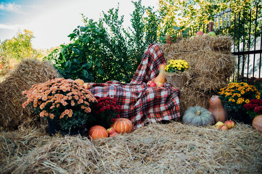 Autumn photo zone. Autumn decor using bales of natural straw, pumpkins, flowers, apples. Outdoor decorations for harvest and garden for Halloween, Thanksgiving. Composition in autumn style.