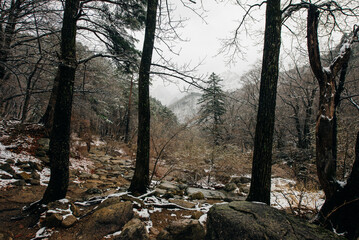 The view of Seoraksan National Park, South Korea at winter.