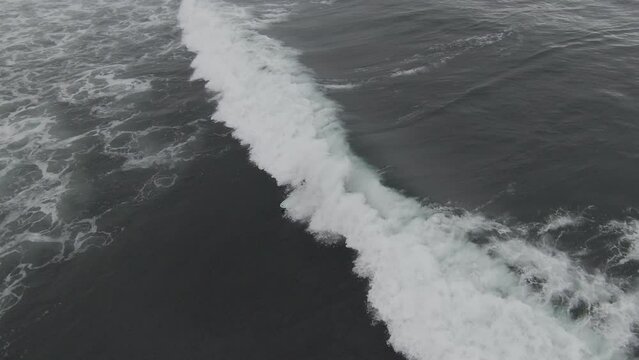 Surfer rides a board and falls off it. Footage. Dynamic frame. Sea wave knocks a surfer off his board.