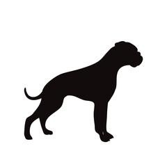Vector silhouette of German boxer on white background. Symbol of pet and dog.