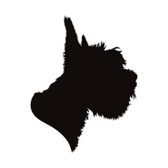 Vector silhouette of Yorkshire terrier on white background. Symbol of pet and dog.