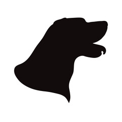 Vector silhouette of labrador retriever on white background. Symbol of pet and dog.