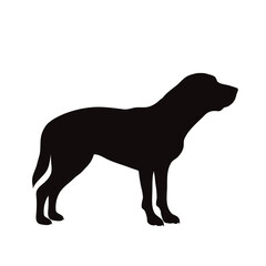 Vector silhouette of labrador retriever on white background. Symbol of pet and dog.