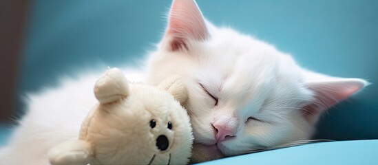 White feline sleeps with toy